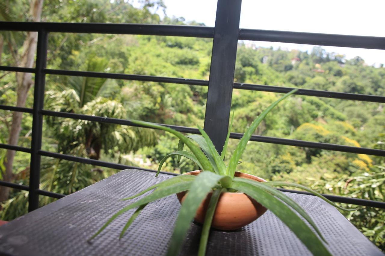 Rawana Mountain View Homestay Ella Luaran gambar